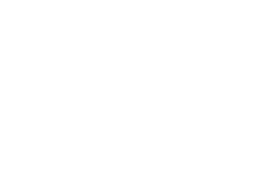 auburn university logo black and white