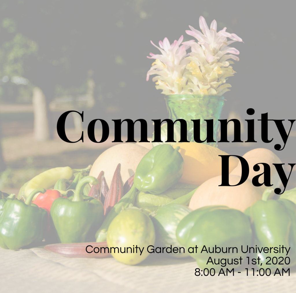 August 2020 Community Day