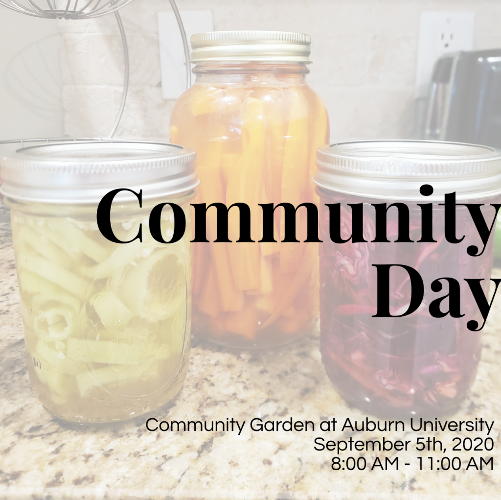 September 2020 Community Day